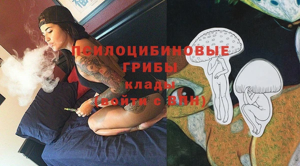 прущие крисы Абинск